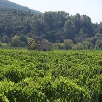 Photo de france - La randonnée de l'ancien refuge sur la colline